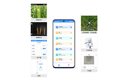 锦州市小麦表型检测仪IN-XM04